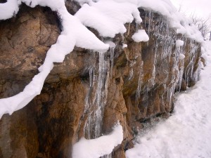 Morning walk at Sparkling Hill resort in Vernon