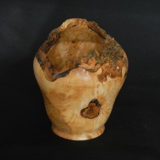 Box Elder Burl  Vase